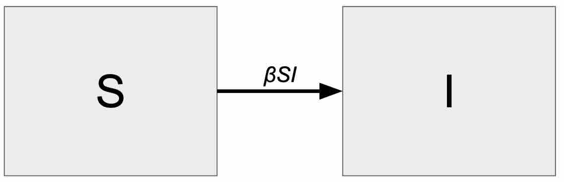 A diagram showing compartments
representing S and I with an arrow going from S to I with beta S I above it.